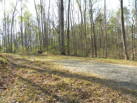 Martin, GA 30557 Stephens County