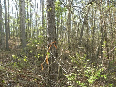 Martin, GA 30557 Stephens County