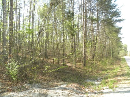 Martin, GA 30557 Stephens County