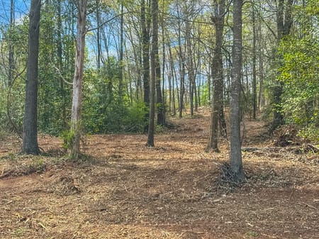 Eastanollee, GA 30538 Stephens County