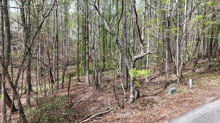 Cleveland, GA 30528 White County