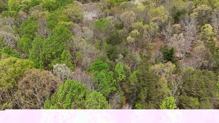 Cleveland, GA 30528 White County