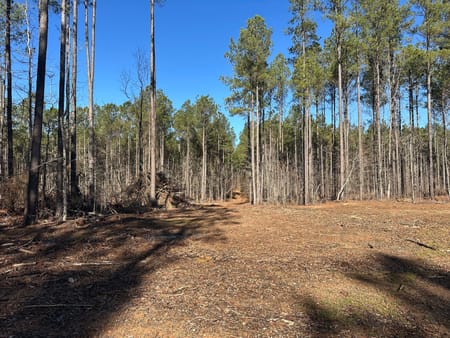 Watkinsville, GA 30677 Greene County