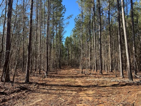 Watkinsville, GA 30677 Greene County