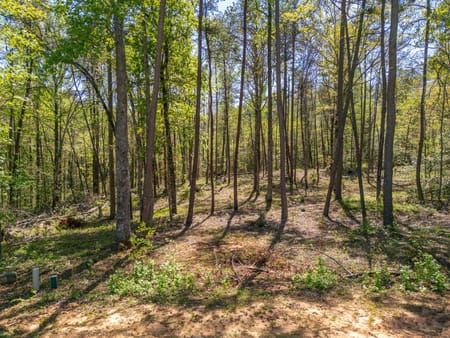 Clarkesville, GA 30523 Habersham County