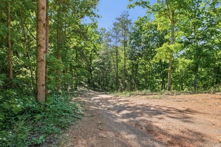 Rydal, GA 30171 Gordon County