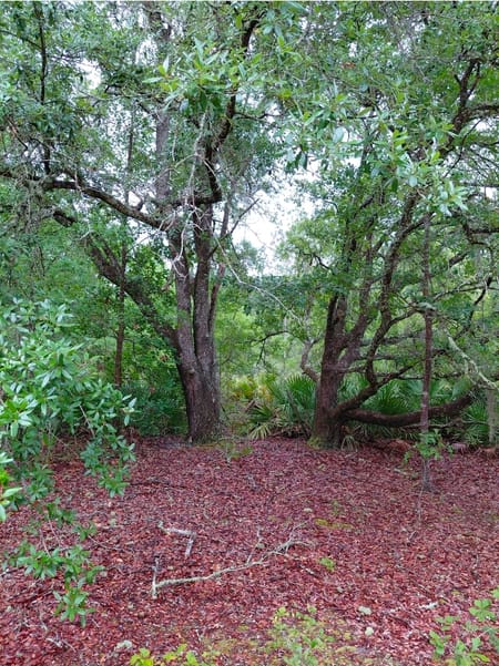 Folkston, GA 31537 Charlton County