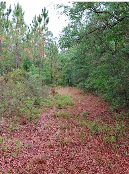 Folkston, GA 31537 Charlton County