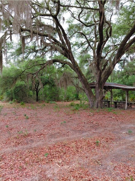 Folkston, GA 31537 Charlton County