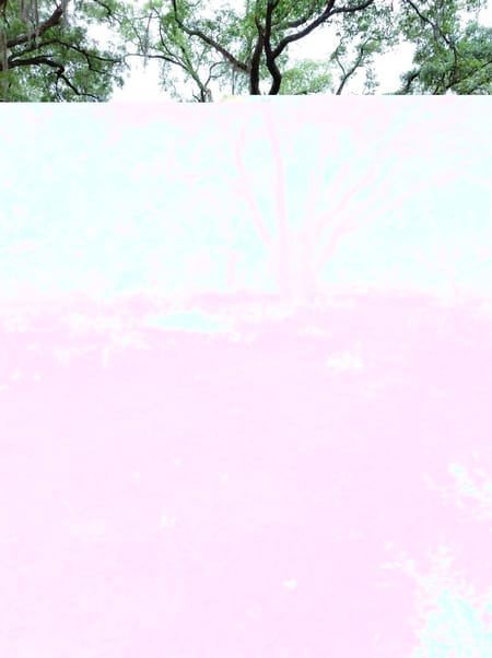 Folkston, GA 31537 Charlton County
