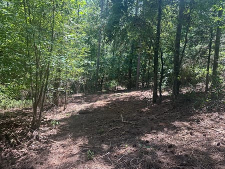 Elberton, GA 30635 Elbert County