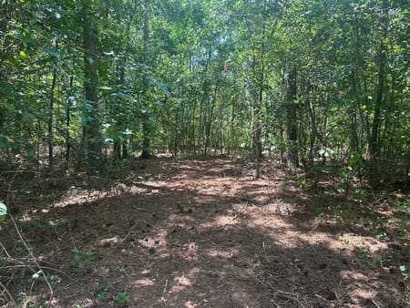 Elberton, GA 30635 Elbert County