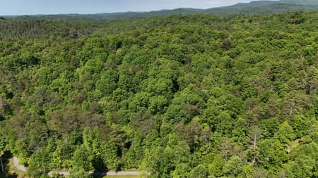 Cherry Log, GA 30522 Gilmer County