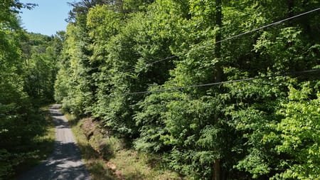 Cherry Log, GA 30522 Gilmer County