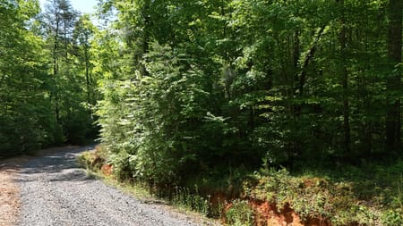 Cherry Log, GA 30522 Gilmer County
