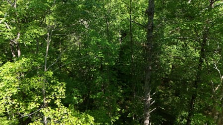 Cherry Log, GA 30522 Gilmer County