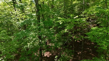 Cherry Log, GA 30522 Gilmer County