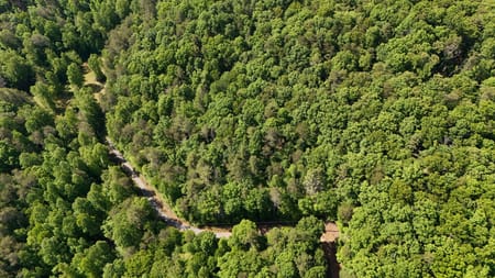 Cherry Log, GA 30522 Gilmer County