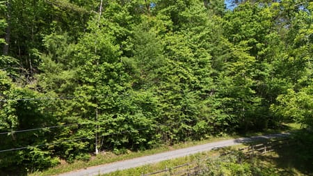 Cherry Log, GA 30522 Gilmer County