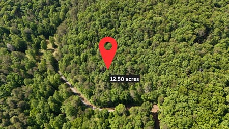 Cherry Log, GA 30522 Gilmer County