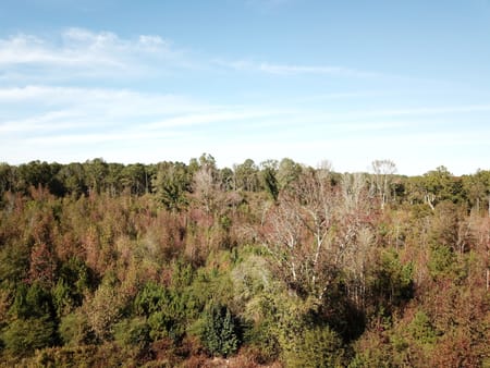 South Fulton, GA 30213 Fulton County