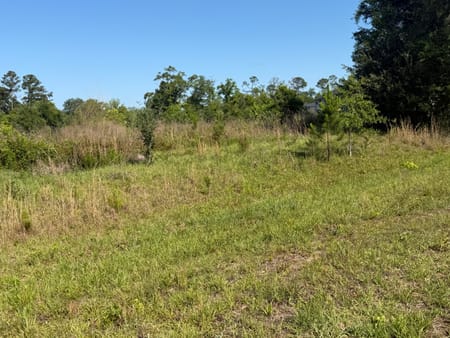 Soperton, GA 30457 Treutlen County