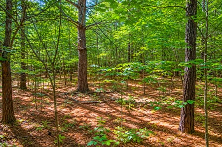 LaFayette, GA 30728 Walker County