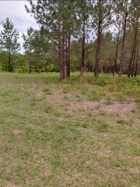 St. George, GA 31562 Charlton County