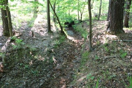 Forsyth, GA 31029 Monroe County