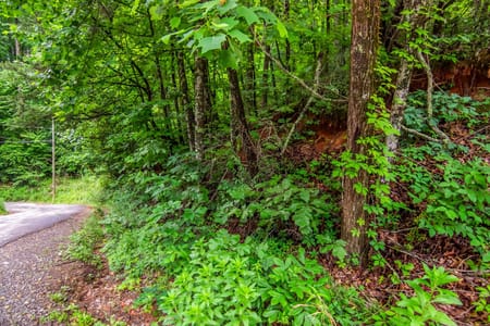 Ellijay, GA 30540 Gilmer County