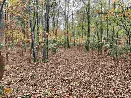 Stonecrest, GA 30038 DeKalb County
