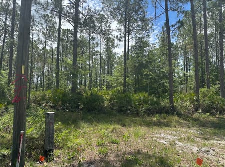 Folkston, GA 31537 Charlton County