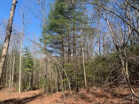 Ellijay, GA 30536 Gilmer County