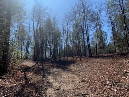 Ellijay, GA 30536 Gilmer County
