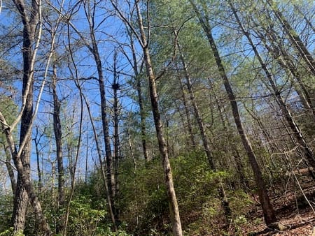 Ellijay, GA 30536 Gilmer County
