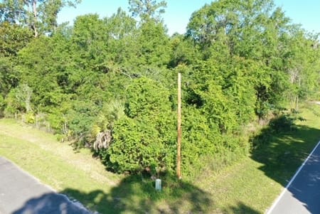 Homeland, GA 31537 Charlton County