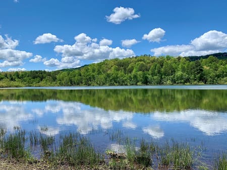 Blairsville, GA 30512 Union County