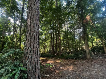 Stonecrest, GA 30038 DeKalb County