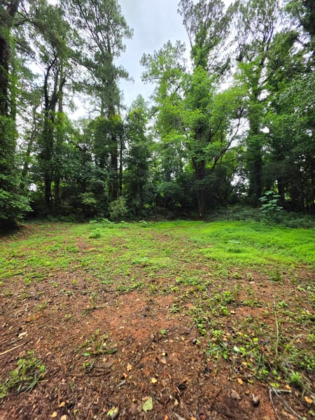 Stone Mountain, GA 30087 DeKalb County