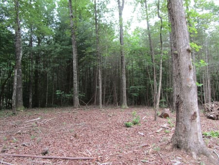 Ellijay, GA 30536 Gilmer County
