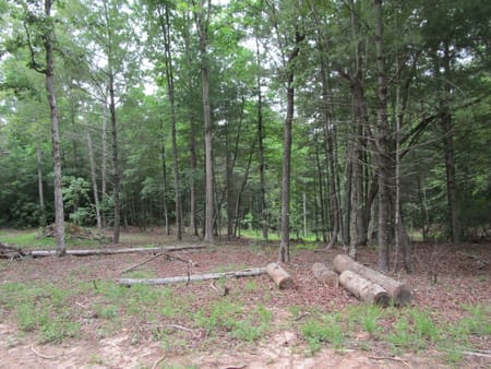 Ellijay, GA 30536 Gilmer County