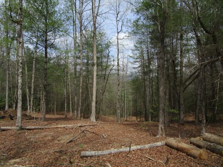 Ellijay, GA 30536 Gilmer County