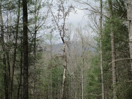 Ellijay, GA 30536 Gilmer County