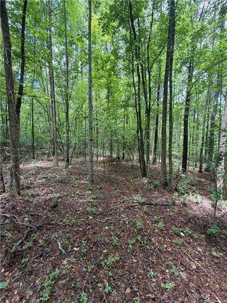 Fairburn, GA 30213 Fulton County