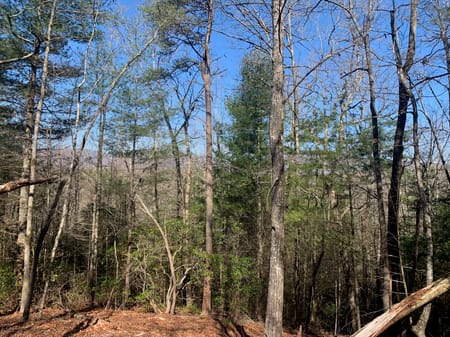 Ellijay, GA 30536 Gilmer County