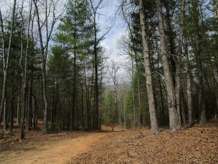 Ellijay, GA 30536 Gilmer County