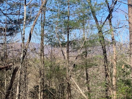 Ellijay, GA 30536 Gilmer County