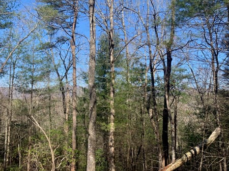 Ellijay, GA 30536 Gilmer County