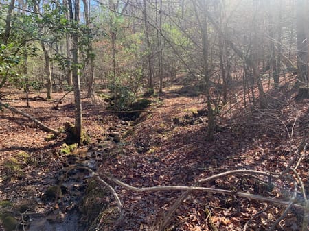 Ellijay, GA 30536 Gilmer County