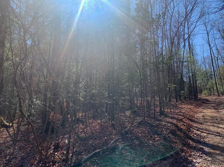 Ellijay, GA 30536 Gilmer County